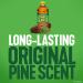 Pine-Sol All Purpose Cleaner Original Pine 40 Oz Bottles (2 Pack) - Packaging May Vary - Buy Online on GoSupps.com
