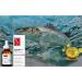 Celya Vegan Omega-3 Natural Drops (2) - Buy Online on GoSupps.com