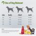 Shop Ultra-Light Waterproof Dog Rain Coat - Reflective Hooded & Breathable for Medium to Large Dogs | 3XL Red Rain Jacket - Buy Online on GoSupps.com