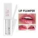 12-Color Waterproof Lipstick Set - Long-Lasting Intensive Pigments - Perfect Gift for Women - Buy Online on GoSupps.com