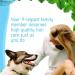 Dr. Mercola Organic Peppermint Dog Shampoo 8 oz - Healthy, Natural Care - Buy Online on GoSupps.com