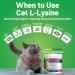 Guardian s Choice 250mg L-Lysine for Cats, Advanced Immune Support for Respiratory, Eye & Nose Health, Chicken Liver Flavored Lysine Powder for Kittens & Seniors, 200 Servings - Buy Online on GoSupps.com