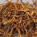 HELLOYOUNG Th Pu'er Dian Hong bourgeon d'or biologique naturel du Yunnan de Chine Sans additifs fabrication traditionnelle avec une saveur unique Th pu-erh Pu'er Tea (100g) - Buy Online on GoSupps.com