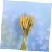 MAGICLULU 1 Decor Natural Wheat Rural Wheat Dried Wheat Simulation Wheat Dried Flowers Bouquet - Buy Online on GoSupps.com