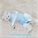 Easy Joy Recovery Suit for Cats - Postoperative Litter Clothing for Abdominal Wounds | E-Collar Alternative | Soft Indoor Pet Apparel (M Blue) - Buy Online on GoSupps.com