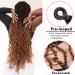 SOKU Passion Twist Crochet Hair 26 Inch - 5 Packs Pre-Twisted Senegalese Twist Crochet Hair | Bey-Blonde Majesty Twist | Pre-Looped Synthetic Dreadlocks for Black Women - Buy Online on GoSupps.com