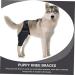BELLIFFY Dog Foreleg Brace Puppy Knee Braces Dog Acl Brace Hind Leg Paws Pet Mesh Fabric Large Dog Elbow Pads S As Shown - Buy Online on GoSupps.com