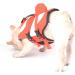 Hofrenchies Dog Chest Hair Hoi Schwimmewest - Pet Safety Bathing Suit Lifeguard Vest for French Bulldog (Size M Clownfish) - Shop Now! - Buy Online on GoSupps.com