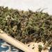 Fuding Th Blanc Graines De Th En Vrac Arbre Th De Haute Montagne Th Blanc National 500g - Buy Online on GoSupps.com