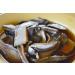 Organic Dried Porcini Mushrooms - Premium French Wild Porcini, 3oz - Buy Online on GoSupps.com