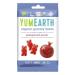 YumEarth YUMEARTH - Organic Vegan and Gluten-Free Pomegranate Bears - Soft Bear-Shaped Candies - Pomegranate Flavor - Classic & Timeless - 12 x 50g Bags