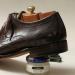 Saphir Superfine Cream Shoe Polish - Taupe Grey Pommadier 88-50ml - Buy Online on GoSupps.com