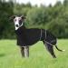 Waterproof Greyhound & Whippet Rain Coat | Lightweight Summer & Winter Dog Coats for Medium & Large Dogs | XXL Black - Buy Online on GoSupps.com