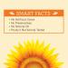 Sundown Naturals Vitamin E Oil 70000 IU - 2.5 oz (Pack of 2) - Buy Online on GoSupps.com