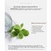 Hydrating Facial Serum Sensitiveness Relieving Moisturizing Repair Serum Soothing Moisturizer to Gentle Sensitive Skin Rich In Powerful Plant Extracts Repair Skin Barrier - 30ml/1oz - Buy Online on GoSupps.com