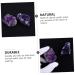 MUCKLILY Purple Ornament 2pcs Amethyst Cluster Chips Natural Crystal Decoration Natural Crystal Ornament Various Ornaments - Buy Online on GoSupps.com