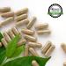 Remedy's Nutrition Licorice Root 1000mg Capsules - Vegan-Friendly - 60,000mg Bottle - Buy Online on GoSupps.com