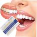 Clispeed Tooth Color Card - 20 Piece Set for Accurate Tooth Shade Matching | Bleached & Natural Tones | Frosted PVC Chart for Dental Professionals | Ideal for Oral Deliveries | Enhance Your Smile with Precision - Buy Online on GoSupps.com