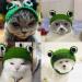 1Pcs Pet Funny Hat Cute Cat Hat Cartoon Dog Hat Adorable Frog Shape Pet Cap Pet Hair Band Hat Weaving Pet Grooming Supplies for Kitten Puppies  - Buy Online on GoSupps.com