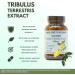 Barlowe's Herbal Elixirs Tribulus Terrestris Extract | 40% Protodioscin & 90% Total Saponins | 500mg Per Capsule | 60 Veggie Capsules | Glass Bottle - Buy Online on GoSupps.com