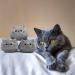 DNFASCHI Gray Cat Plush Toy Cute Cat Stuffed Animals Plush Toy 3Pcs Gray Cat Plushie Soft Mini Cat Plush Toys for Girls Boys Cute Stuffed Cat Doll for Birthday - Buy Online on GoSupps.com