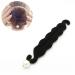 Braid Aid Lichen Aid Hair Dutt Pillow - Effortless Hairstyling & Hair Accessories for Women - Buy Online on GoSupps.com