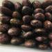 KuRkur Natural Crystals 400-800g Natural Strawberry Stick Stone Single PointTorch Decoration Can be Used for (Size : 600-700g) (Size : 700-800g) - Buy Online on GoSupps.com