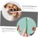 Beavorty 4pcs Handheld Puppy Lightweight Manual Long Convenient Small Pet Supplies -bristle Brush 1 count (Pack of 1) Assorted Color - Buy Online on GoSupps.com