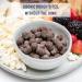 Plant-Based Fudge Brownie Cookie Dough Bites (4 Pack) - Low Sugar, Gluten-Free, Dairy-Free, Healthy Snacks - Buy Online on GoSupps.com