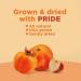 RIND Snacks Orchard Blend Dried Fruit Superfood - Sweet Persimmon, Tart Apple, Tangy Peach - High Fiber, Vegan, Paleo - Non-GMO - 3oz (Pack of 3) - Buy Online on GoSupps.com