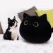 KOMUNJ Black Cat Plush 30cm - Soft Stuffed Animal Toy for Kids & Adults | Cute Cat Pillow Gift for Valentines & Birthday - Buy Online on GoSupps.com