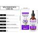 Hydratant l'huile de beaut huile de bakuchiol biologique Huile de bakuchiol naturelle pour le visage | Le rajeunissement naturel repulpant les hydrates resserre les ascenseurs - Buy Online on GoSupps.com