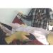 Patient Aid Positioning Bed Pad with Handles Medical Breathable Transfer Belt Bed Positioning Pad and Straps - Buy Online on GoSupps.com
