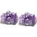 FOMIYES 6 Pcs Natural Crystal Cluster Crystal Stone Adorn Accessories Amethyst Cluster Natural Minerals - Buy Online on GoSupps.com