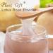 100% Natural Pure Lotus Root Powder 100g/3.52oz pour smoothies shakes p tisseries et boissons | sans conservateurs lyophilis sans sucre ajout  - Buy Online on GoSupps.com