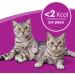 Whiskas Dentabites Cat Snack - Chicken Flavor (Pack of 8 x 40g) - International Shipping Available - Buy Online on GoSupps.com