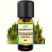 Organic mountain pine oil - 100% natural organic organic oil from Wunderkraft.Bio aromatherapy & diffuse ideal for sauna & sports 30ml aroma oil fragrance oil