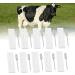 Buy Cow Pregnancy Test Strip - Highly Accurate Colloidal Gold Detection | Quick & Convenient | Ideal for Farms & Livestock Management - Buy Online on GoSupps.com