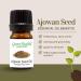 10 ml Ajowan Seed Essential Oil (100% Pure & Uncut) - GreenHealth - Buy Online on GoSupps.com