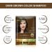 Herbishh Hair Color Shampoo for Gray Hair - Ammonia-Free Dye + Argan Mask - 10pack + 1pack - Travel Size - Long Lasting Dark Brown Color - Buy Online on GoSupps.com