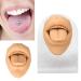 Realistic Tongue Model for Research | Lifelike Tongue Mouth Model with Acrylic Holder - Skin Color - Buy Online on GoSupps.com