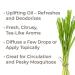 Buy Plant Therapy Lemongrass Organic Essential Oil 100% Pure - USDA Certified Undiluted Aromatherapy - 100 mL (3.3 oz - Buy Online on GoSupps.com