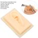 Human Ear Model - Comfortable Lightweight Soft Silicone for Teaching Demonstrations (Left) - International Shipping Available - Buy Online on GoSupps.com