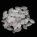 25 Pairs of Transparent Oval Silicone Nose Pads for Pressing In - 15mm - Ideal for Glasses & Sunglasses - Buy Online on GoSupps.com