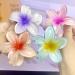 ZSPERKLA Flower Hair Clips - 4 Pack Non-Slip Large Hair Clips for Women & Girls | Cute Hair Accessories for International Shipping - Buy Online on GoSupps.com