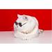 Stock Show Funny Cute Dog Cat Sunglasses - Retro Fashion Eyewear for Pet Photos - Black - Buy Online on GoSupps.com