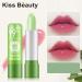 4pcs Natural Aloe Vera Lip Balm Long Lasting Nutritious Lipstick Lips Moisturizer Temperature Color Changing Lip Gloss - Buy Online on GoSupps.com
