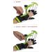 Bigfanshu Wrist and Finger Dynamic Orthosis Fretboard Rehabilitation Finger Cerebral Palsy Rehabilitation Equipment - Buy Online on GoSupps.com