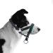 ILEPARK Dog Halter - Adjustable Padded Collar for Large Dogs - Prevents Pulling - Green - Buy Online on GoSupps.com