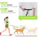 Snocyo Jogging Dog Leash - Reflective Elastic Double Handle & Waist Belt for Medium to Large Dogs - Black & Green - Buy Online on GoSupps.com